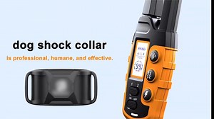 1K views | Dog Training Collar with Remote, Adjustable Nylon Strap,...