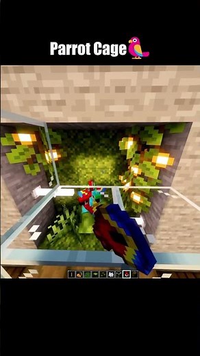I Built the CUTEST Minecraft Parrot Cage EVER!