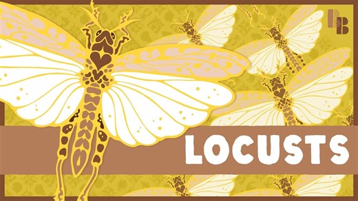 The odd thing that transforms grasshoppers into locusts.