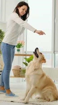 Markers Explained: How Dogs Understand “Right” and “Wrong” | Dog behaviourist | Dog training