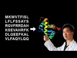 Convert amino acid sequence to 3D protein model in Phyre2