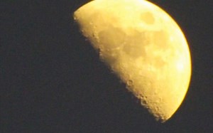 新手摄影小白的成果｜富士s4000