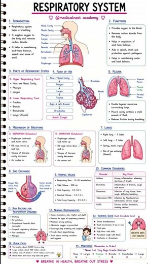 Respiratory System Made Easy! | Complete Notes for Nursing Students 📚