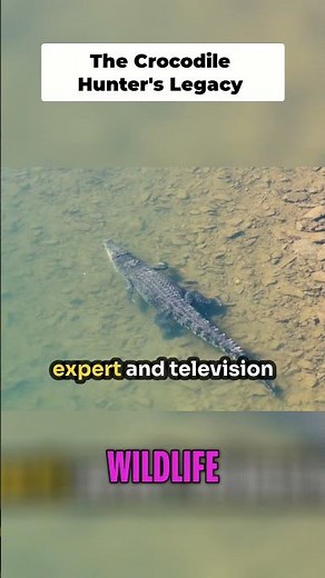 Steve Irwin: The Unforgettable Crocodile Hunter Lives On #shorts