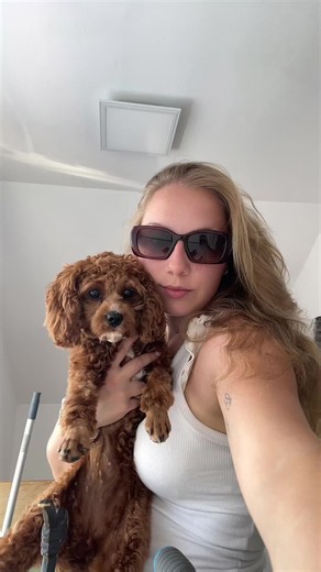gehen eure Hunde auch gern baden? #cavapoo #hundetrainingtipps #mentaleauslastung #tfa #hundebadet