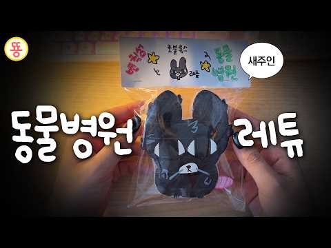 로블록스 동물병원 변칙성 레튜 종이스퀴시 만들기 🐭🧀
