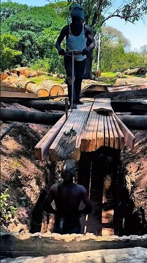 Manual Wood Cutting Work Tool Using Traditional Pit Saw #worktool