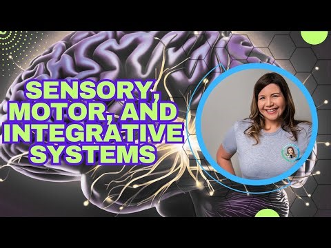 From Sensory to Movement: How Your Sensory, Motor, and Integrative Systems Work