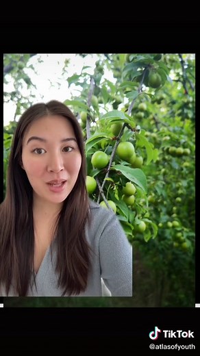 Discovering Botanical Skincare Secrets of Indigenous Australians