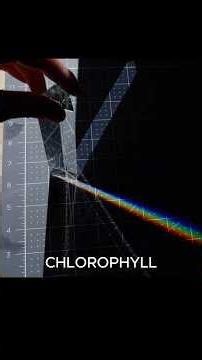 Spectroscopy Detected Chlorophyll on Mars - Then Went Silent