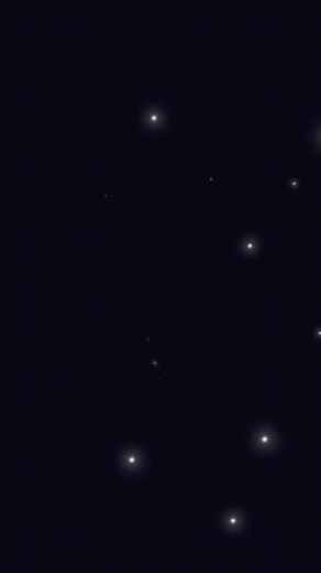 Oscar Chihuahua x Poodle Dad likes him taken down short and practical, so I cut him on a 5f, peach comb for his head and scissor trimmed the rest. Christmas bow and off he strutted! #poodle #crossbreed #chihuahua | Helen's Dog Grooming | Facebook