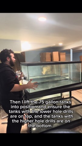 Creating the ultimate goldfish breeding system