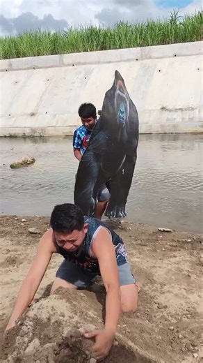 Komedi Lucu Kucak yang Tak Terlupakan