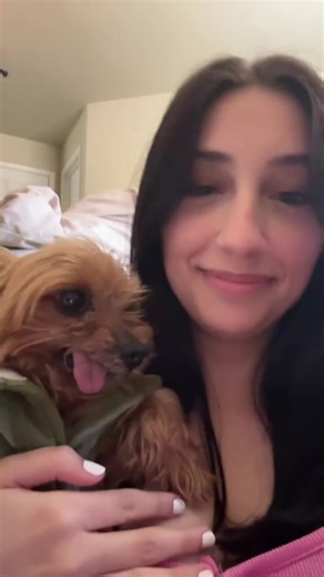 Heartwarming Moments with My Yorkie Puppy