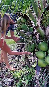 120K views · 1.3K reactions |  | Bethany Hamilton | Facebook