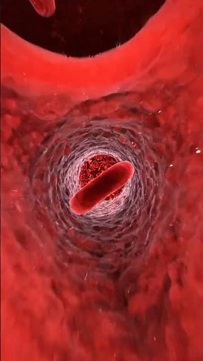 Inside a Red Blood Cell’s Journey | POV Through the Human Body (4K) #shorts