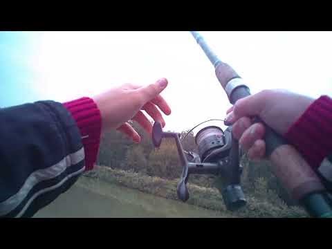 Fishing in a commercial pond. Why will you never catch many fish in a commercial pond?
