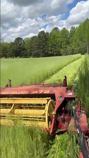 The New Holland 472 haybine is getting it done!