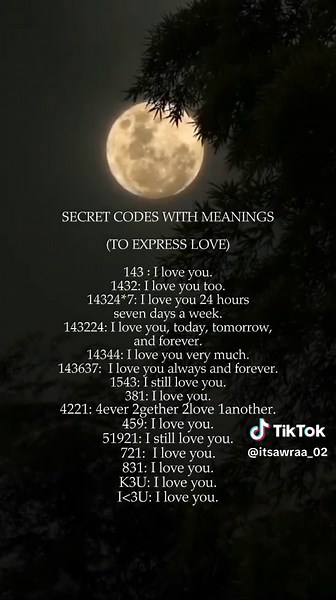 Expressions of Love Through Secret Codes