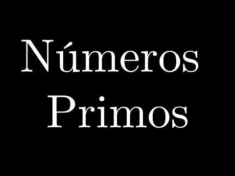 What are Prime Numbers and why are they important?