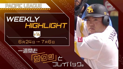 WEEKLY HIGHLIGHT #14（2025/7/7）