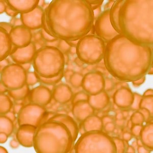 1.1K reactions · 513 shares | Avoir du Cholestérol, est-ce vraiment mauvais? Quel est le VRAI taux à viser selon votre âge et vos antécédents ? | Santé Corps Esprit | Facebook