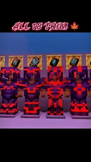 Void God | this video, I’m showcasing all 18 armor trims available in Minecraft, with unique designs and cool color combinations! From wild to coast,... | Instagram