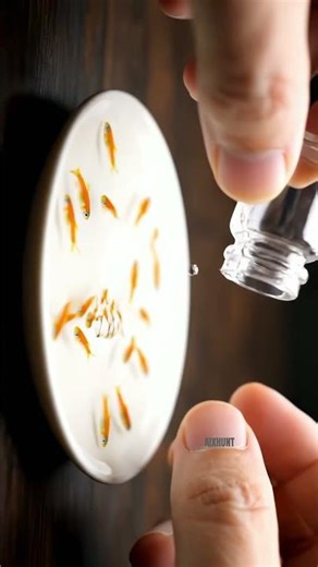 Nano Fishes 🐟 😲😍ASMR✨watch the full video of the channel #satisfying #satisfyling #asmrsounds