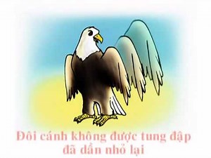 Câu chuyện gà và đại bàng