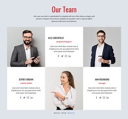 Successful design team - CSS Template by Nicepage