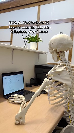 Exploring Human Anatomy: A Detailed Skeleton Model