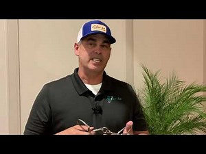 What is a LifeSaver and how does it work by The Perfect Bit