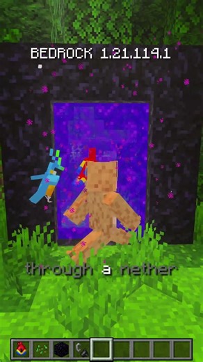 NEVER Put a Parrot on Your Shoulder in Bedrock!