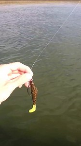 7.8K views · 286 reactions | 1st Trout in my NEW Hobie Outback kayak! #reels #kayakfishing #hobiefishing #zman | Beaufort SC Fishing | Facebook