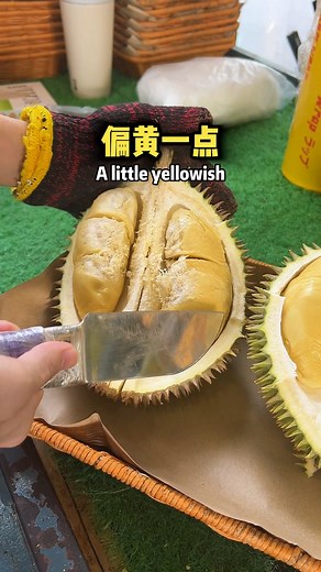 Green-shell vs grey-shell D24 any difference? 🤔 Just opened the green one, now let’s open a grey-shell D24 and check the quality together! 🍈 #michaelbukadurian | Kuala Lumpur Durian Fest