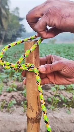 World’s Best Knot – Simple & Strong!