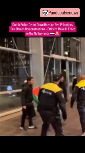 PandaPulse | Global News on Instagram: "Fresh footage from the Netherlands shows Dutch police in full riot gear aggressively moving through crowds and detaining participants during pro-Palestinian / pro-Hamas demonstrations. Officers in high-visibility yellow-and-black jackets are seen pushing forward, making arrests, and clearing areas — a clear escalation in enforcement compared to earlier, more restrained approaches in similar protests. Context in the Netherlands right now: Sharp rise in pro-