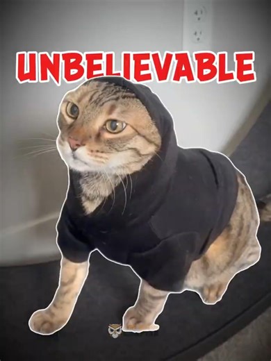 He was told to lose weight, so he became a track star! 🐱💪 #shorts