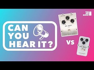 $4,000 Big Muff V.S. $99 Big Muff