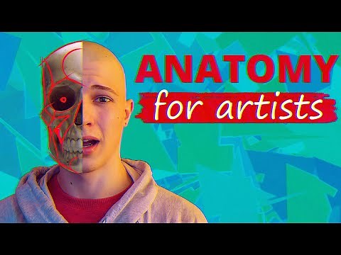 Basic Anatomy of the Face