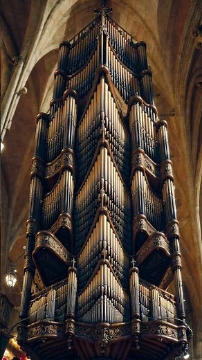 Eternal Harmony: Pipe Organ Music for Deep Relaxation