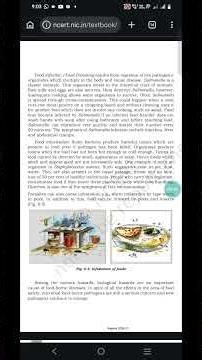 HOME SCIENCE TGT CORRECT 💯 ANSWER 📢Food Intoxication 💯