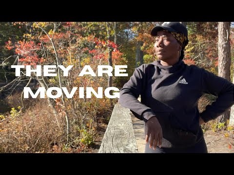 The Female On The Couch #homelessawareness #transitionalhousing