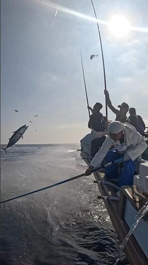 カツオの一本釣り #fisherman #fishing #釣り