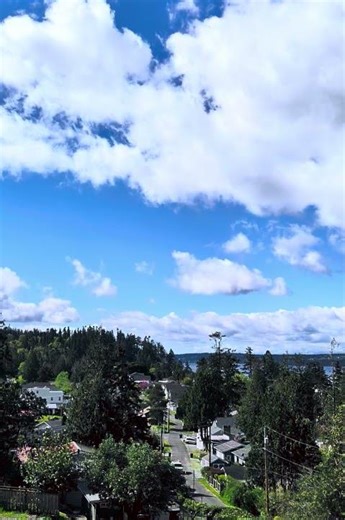 Spring🌷in the PNW.