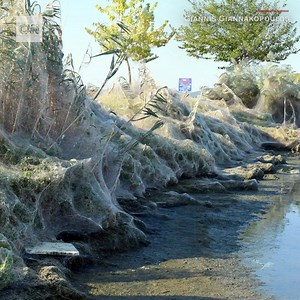 267K views · 1.1K reactions | No, it's not Halloween, but the spider webs draping everything from street signs to trees in this Greek town are a spooky sight https://cnn.it/2Nx1mnn | CNN | Facebook