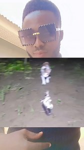 1.2K reactions · 39 comments | Wall gecko vs snake. #viralvideoシ #trend | Edwin Odo | Facebook