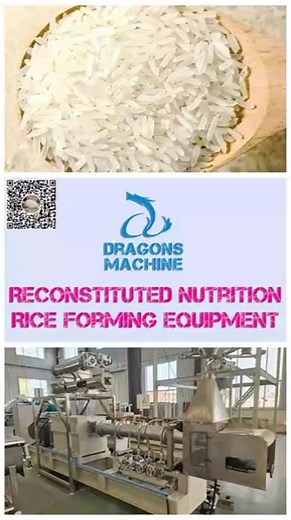🍚 Reconstituted Nutrition Rice Forming Equipment