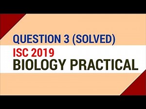 Question 3 Solved - Nerium Leaf Slide Preparation [ISC 2019 Biology Practical]