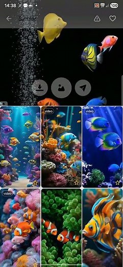 The new 3D fish tank live wallpaper